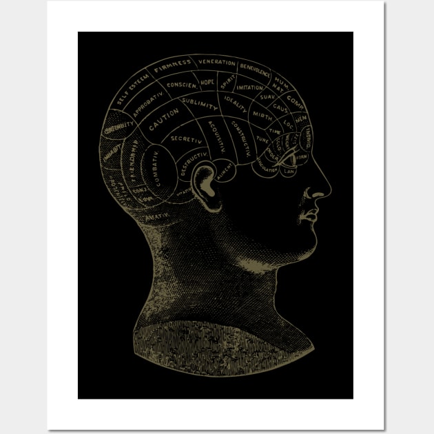 phrenology Wall Art by Raleigh Stewart